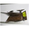 Image 2 : IRONWOOD MARLIN