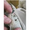 Image 9 : HUDSON BAY COYOTE FUR LONG COAT