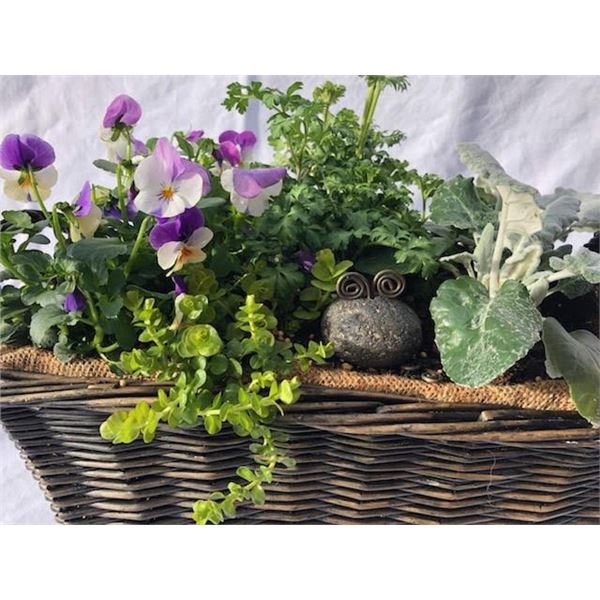 Go Rocky Flower Basket