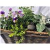 Image 1 : Go Rocky Flower Basket