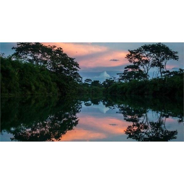 Safaris Unlimited Cotton Tree Lodge Belize