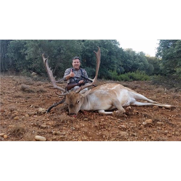 Iberian Hunting Experience