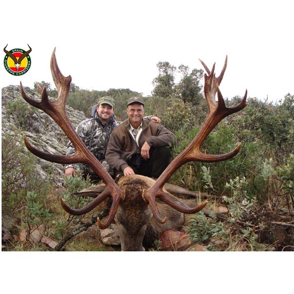 4-Day Spain Hunt for Iberian Red Deer for 1 Hunter