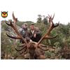 Image 1 : 4-Day Spain Hunt for Iberian Red Deer for 1 Hunter