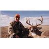 Image 1 : 5-day Colorado Whitetail Deer for 1 Hunter with Landowner Voucher