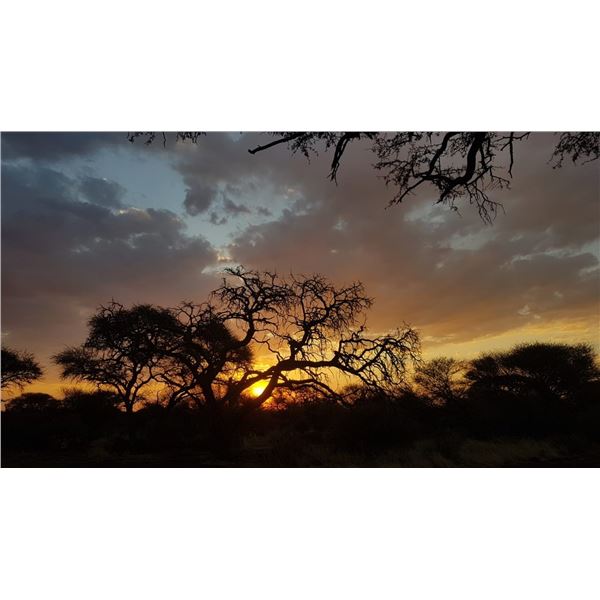 7-Day South Africa Spiral Horn Hunt for 2