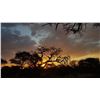 7-Day South Africa Spiral Horn Hunt for 2
