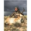 Image 1 : Sante Fe Guiding Company Pronghorn and Mule Deer with landowner Fees