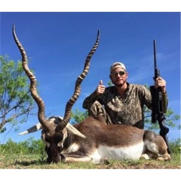 Pope Brothers BlackBuck and Mouflon for 2
