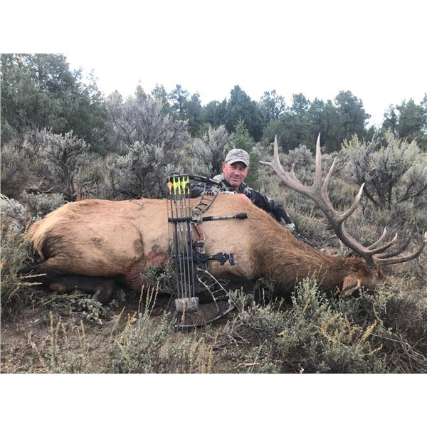5-day New Mexico Elk Bow Hunt for 1 Hunter, Includes Landowner Voucher