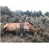Image 1 : 5-day New Mexico Elk Bow Hunt for 1 Hunter, Includes Landowner Voucher