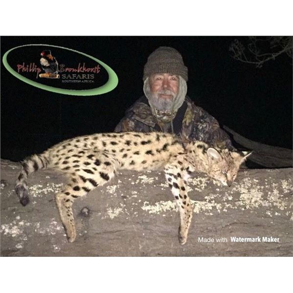 10-Day South Africa Small Cat and Predator Hunt for 1 Hunter and 1 Observer