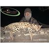 Image 1 : 10-Day South Africa Small Cat and Predator Hunt for 1 Hunter and 1 Observer