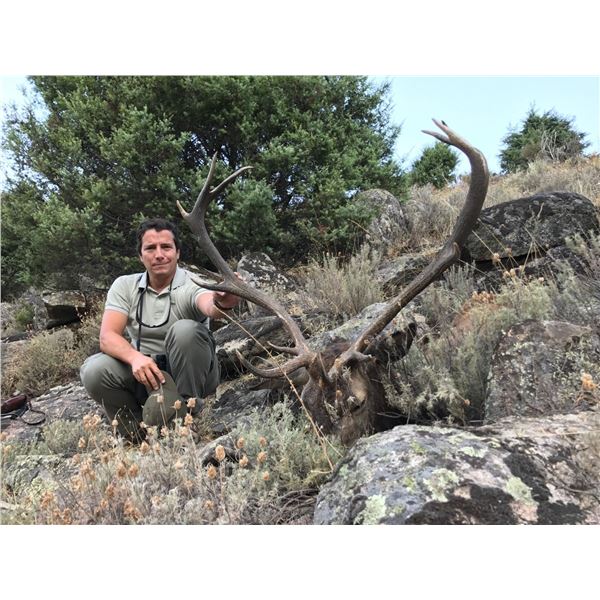 3-Day Spain Hunt for 1 Gredos Red Deer and 1 Fallow Deer for 1 Hunter