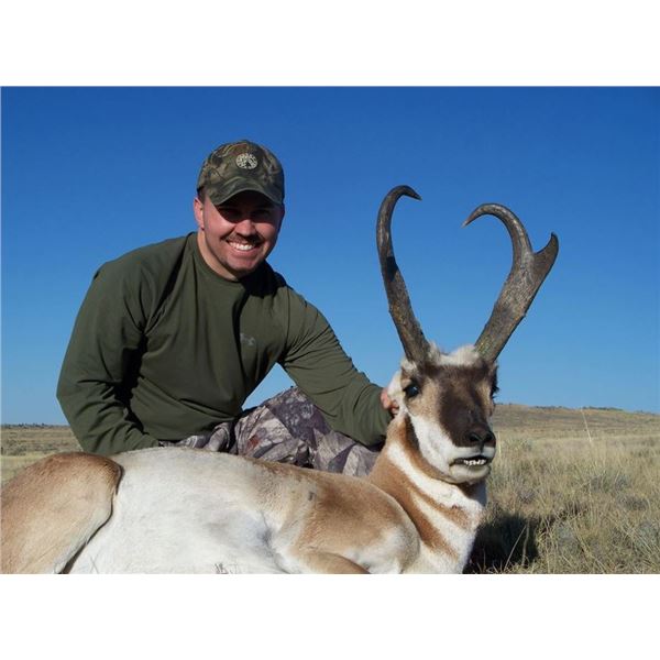 3-Day Colorado Pronghorn Hunt for 1 Hunter