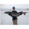 Image 1 : 3-Day North Dakota Ice Fishing/Spearing Adventure for 2 Anglers