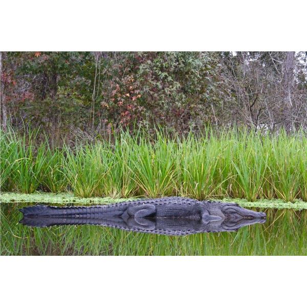 2-Day Florida Alligator Hunt for 1