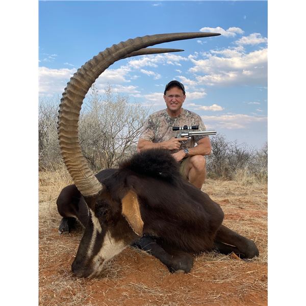 10-Day South Africa Sable, Gemsbok Hunt and Impala Hunt for 1