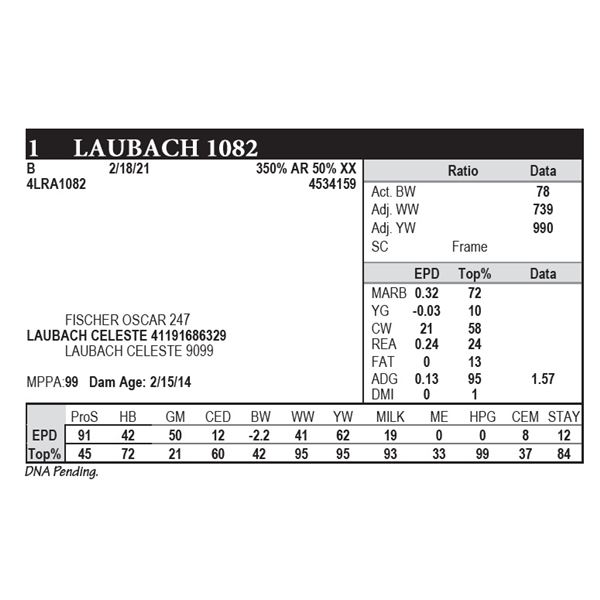 Laubach 1082