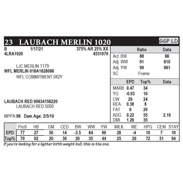 Laubach Merlin 1020
