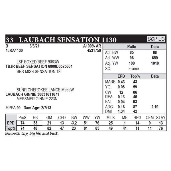 Laubach Sensation 1130