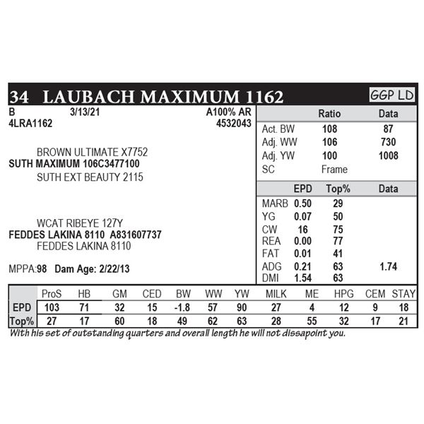 OUT OF SALE - Laubach Maximum 1162