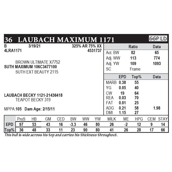 Laubach Maximum 1171