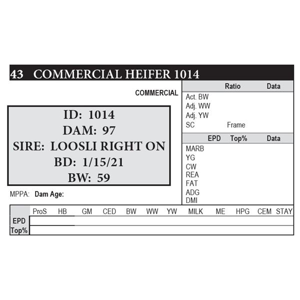 Laubach COMMERCIAL HEIFER 1014