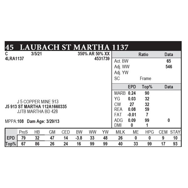 Laubach St Martha 1137