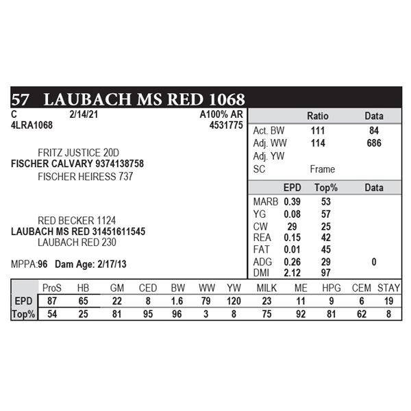 Laubach Ms Red 1068