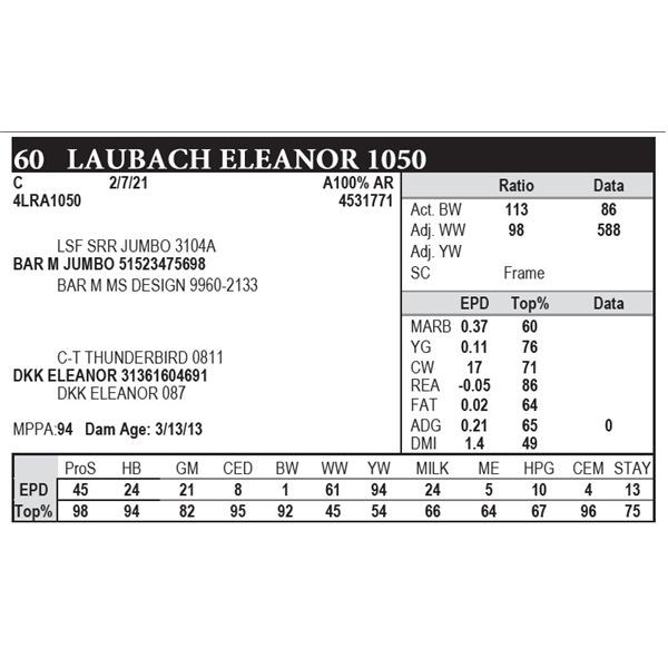 Laubach Eleanor 1050