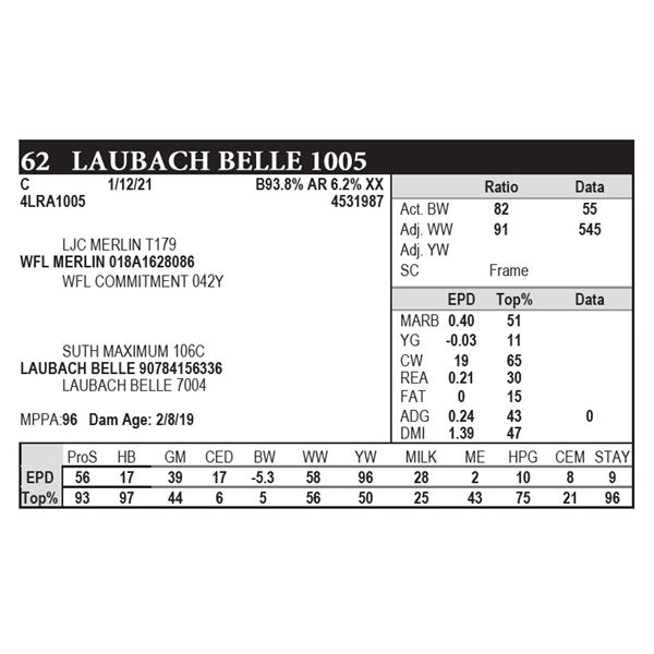 Laubach Belle 1005