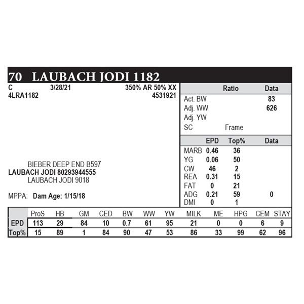 Laubach Jodi 1182