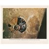 Image 1 : Apollo 10 Oversized NASA Lithograph