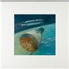 Image 1 : Mark Schuler Original Painting