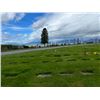 Image 1 : CEMETERY PLOT LOCATED AT FOREST LAWN MEMORIAL PARK