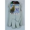 Image 1 : WATSON SCAPE GOAT PREMIUM GOAT SKIN GLOVES 