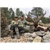 Image 3 : SPANISH BECEITE IBEX HUNT FOR 2 HUNTERS