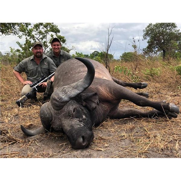 CAPE BUFFALO SAFARI FOR 1 HUNTER
