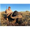 Image 2 : CAPE BUFFALO SAFARI FOR 1 HUNTER