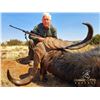 Image 4 : CAPE BUFFALO SAFARI FOR 1 HUNTER