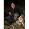 Image 15 : GIANT MINNESOTA BLACK BEAR HUNT FOR 1 HUNTER