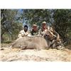 Image 6 : SOUTH AFRICAN SAFARI FOR 2-4 HUNTERS