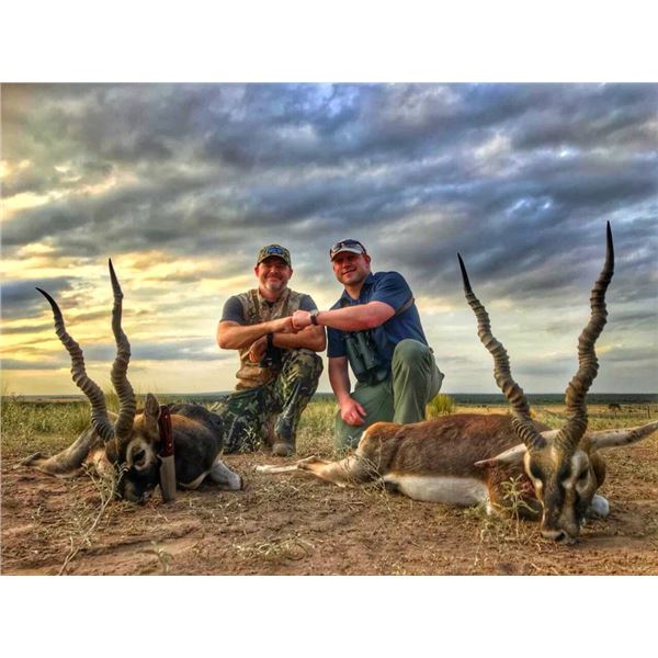 ARGENTINA BIG GAME SAFARI FOR 3 HUNTERS