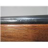 Image 5 : Thompson Center Arms Model 22 Classic Semi-Automatic Rifle- .22 LR- 22" Barrel- Night Sights- Very G