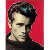 Image 1 : JAMES DEAN - PORTRAIT RED, A LIMITED EDITION OIL AND SCREENPRINT ON CANVAS BY STEVE KAUFMAN