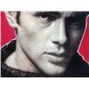 Image 2 : JAMES DEAN - PORTRAIT RED, A LIMITED EDITION OIL AND SCREENPRINT ON CANVAS BY STEVE KAUFMAN