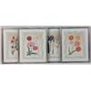 Image 1 : FOUR FRAMED FLORAL POLYCHROME PRINTS