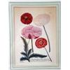 Image 2 : FOUR FRAMED FLORAL POLYCHROME PRINTS
