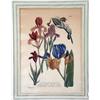 Image 3 : FOUR FRAMED FLORAL POLYCHROME PRINTS